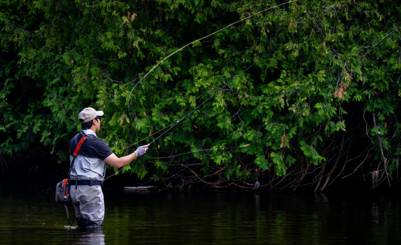 An adult male fly fishing in a river surrounded by dense forest, showcasing outdoor adventure.